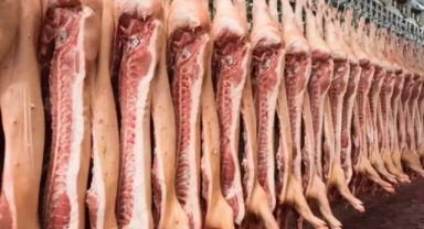 Türkiye Sudan'dan domuz eti mi ithal ediyor? Beklenen açıklama geldi